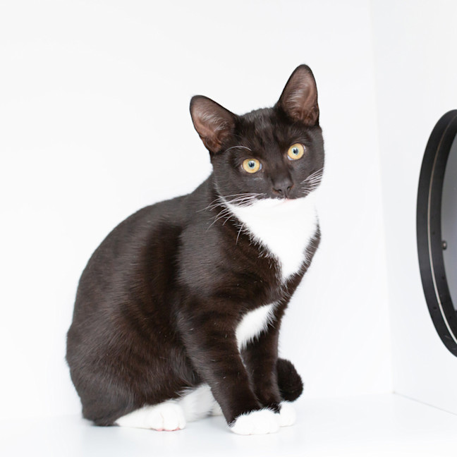 Photo of Darth Vader