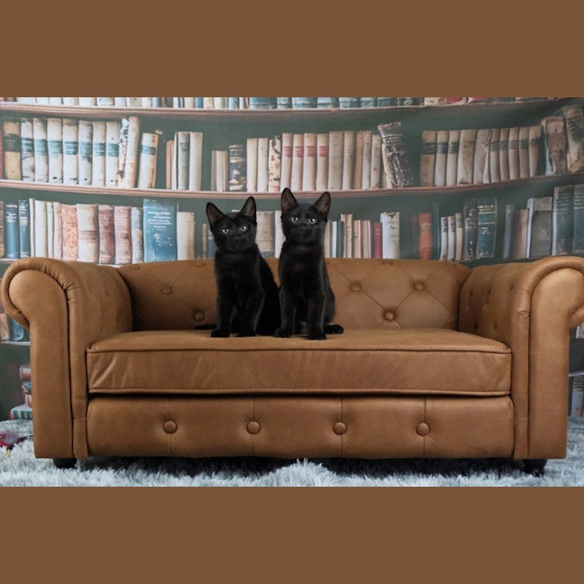 Photo of The Riddler