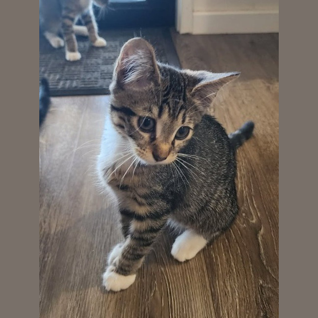Photo of Deitri