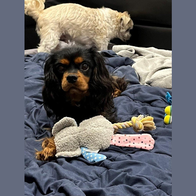 Photo of Walter Quinnell