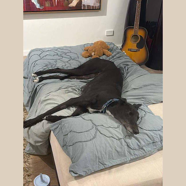 Photo of Skye