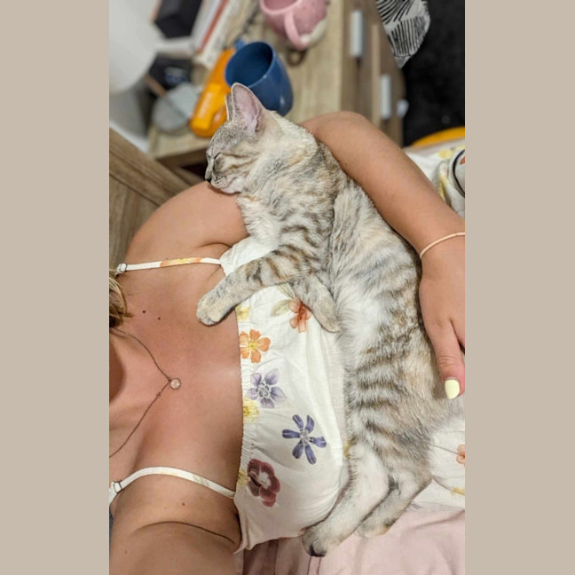 Photo of Chook & Mash 