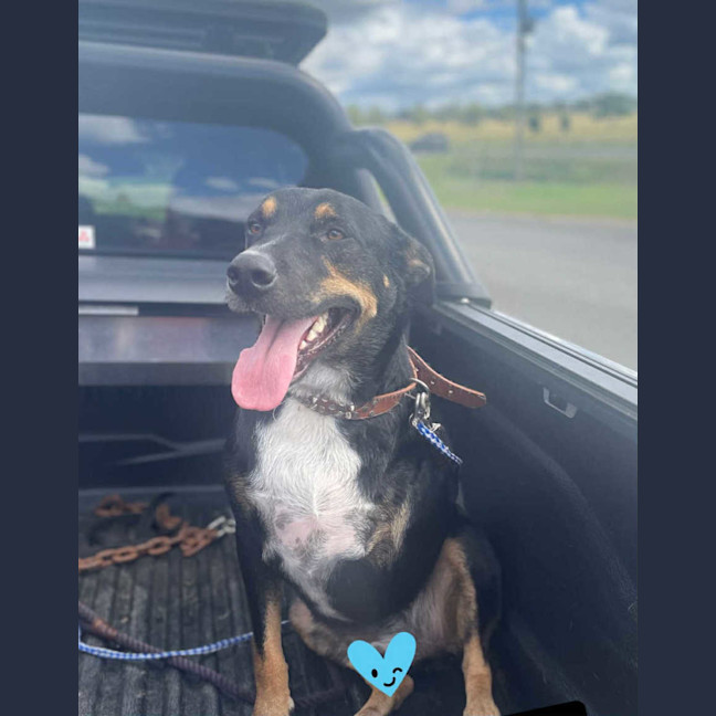 Photo of Zeus 