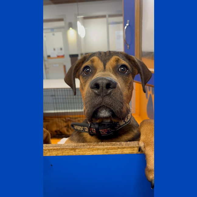 Photo of Bingo