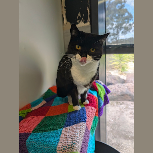 Photo of Wednesday