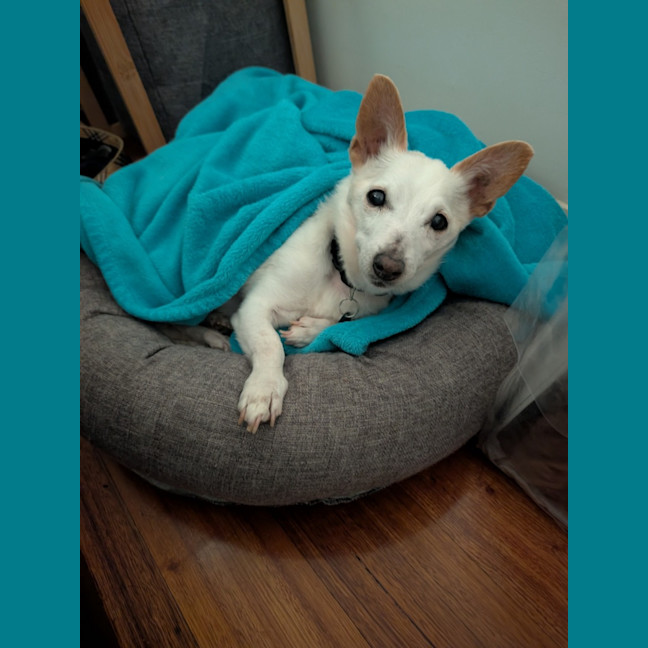 Photo of Max