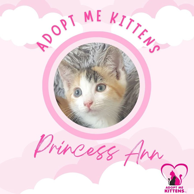 Photo of Princess Ann
