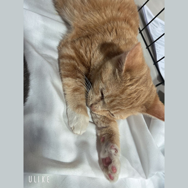Photo of Bumble