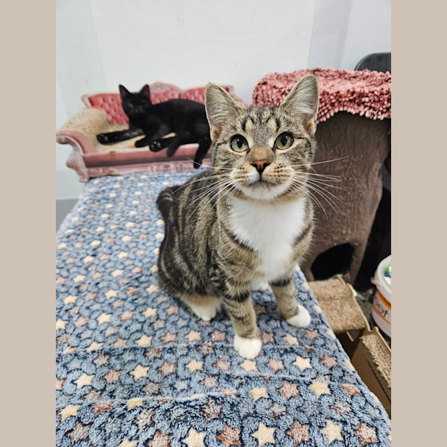 Photo of Hazel