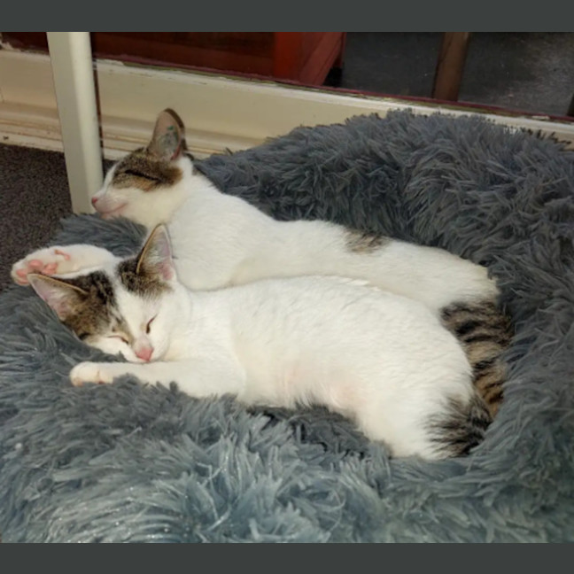 Photo of Kimmie 🌺