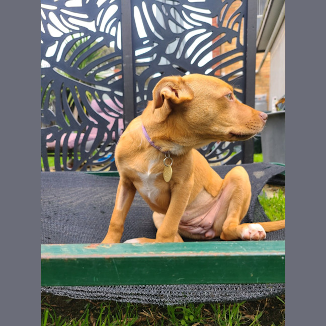 Photo of Mellyjane