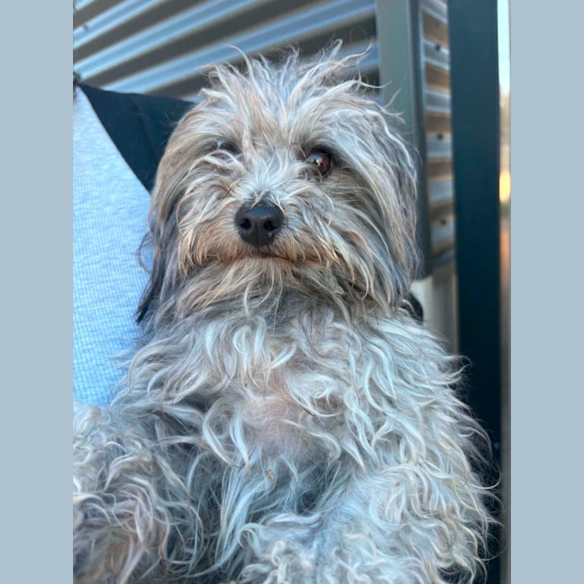 Photo of Russell