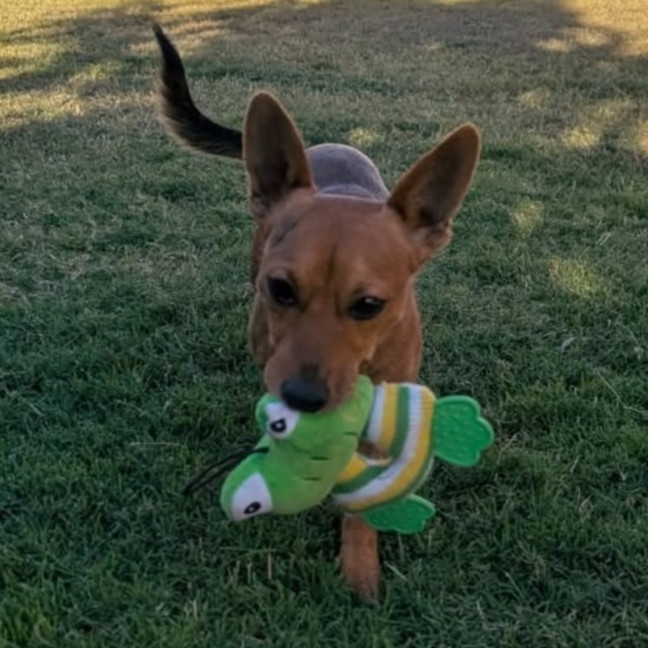 Photo of Rylo