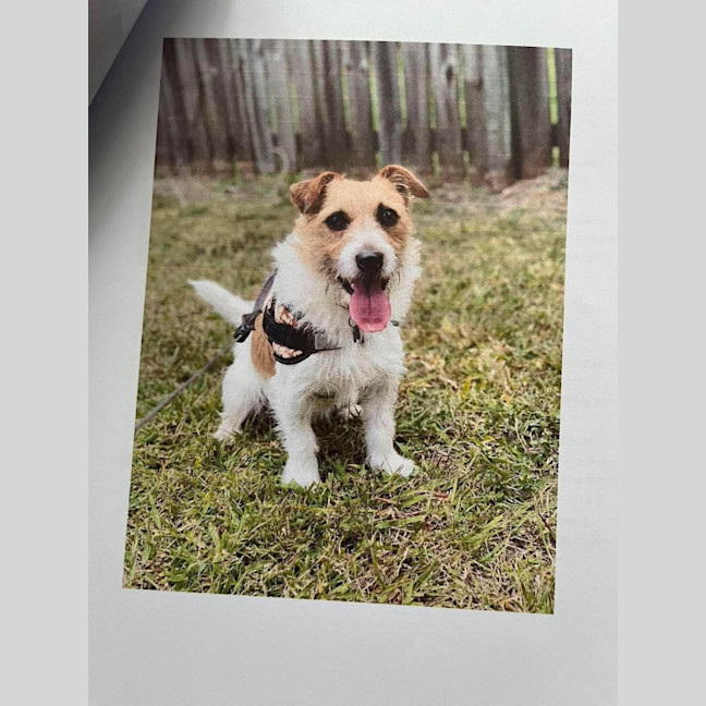 Photo of Aero