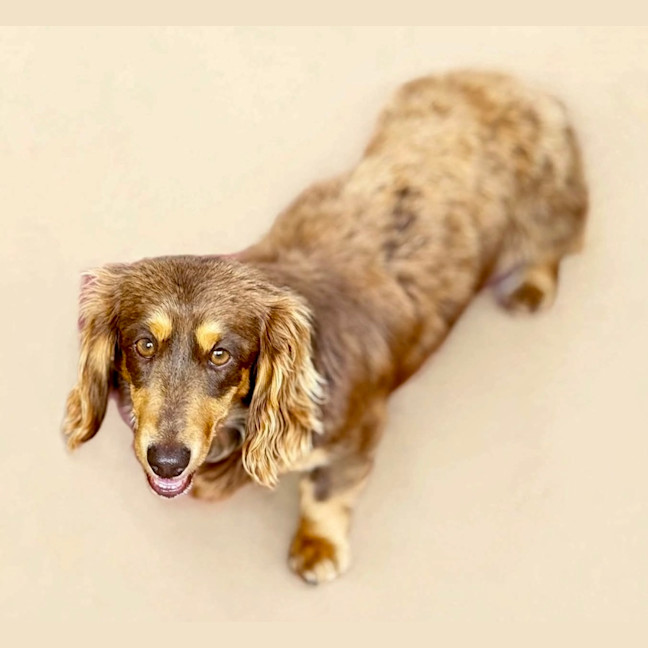 Photo of Matilda