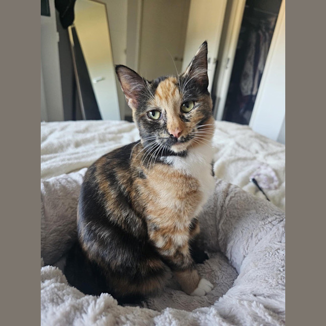 Photo of Pippa