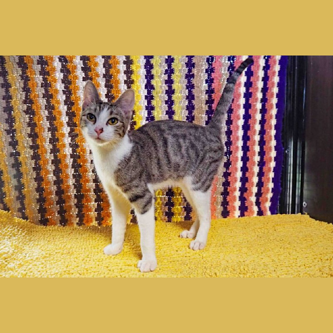 Photo of Twinkle