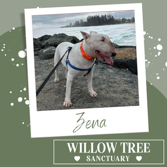 Photo of Zena