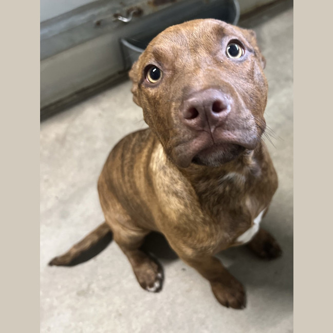 Photo of Dulce De Leche