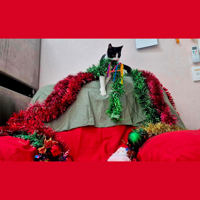 Photo of Bromley (9081)