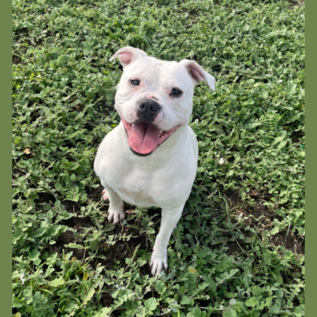 Photo of Tilly