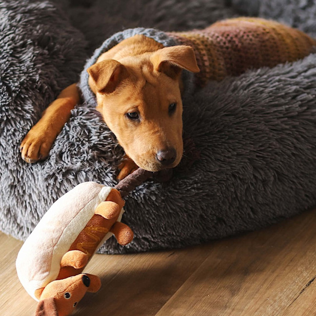 Photo of Ellie