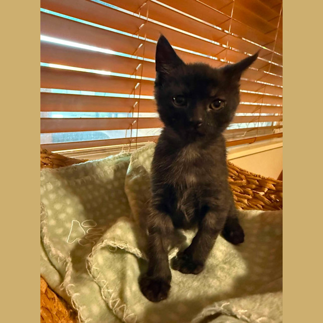 Photo of Zoom