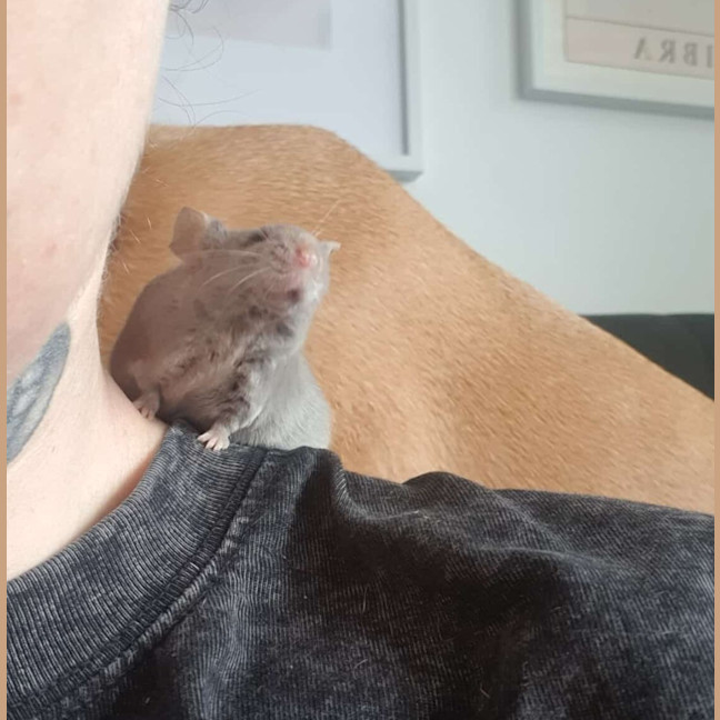 Photo of Vander / Ekko