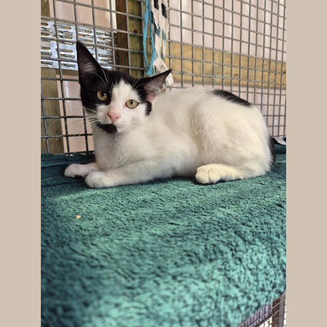 Photo of Cowgirl! 🤠