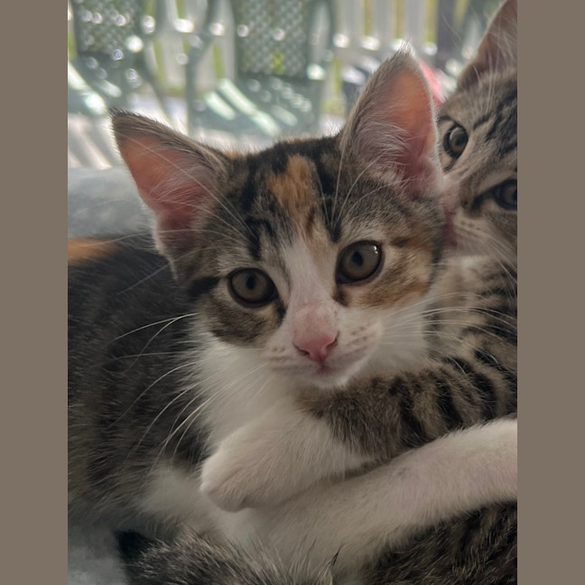 Photo of Kiki   Penelope