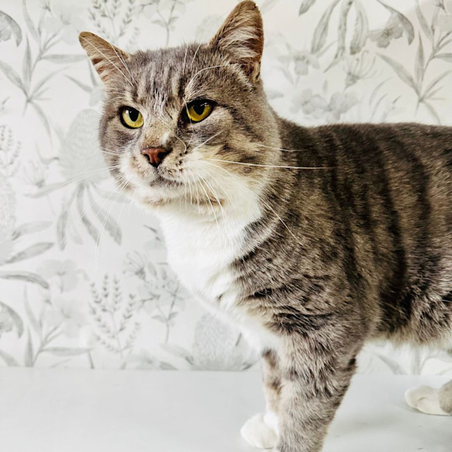 Photo of Bubbles   Located In Preston