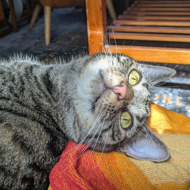 Photo of Eva   Located In Preston