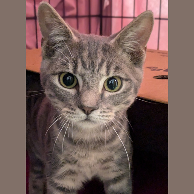 Photo of Charlie