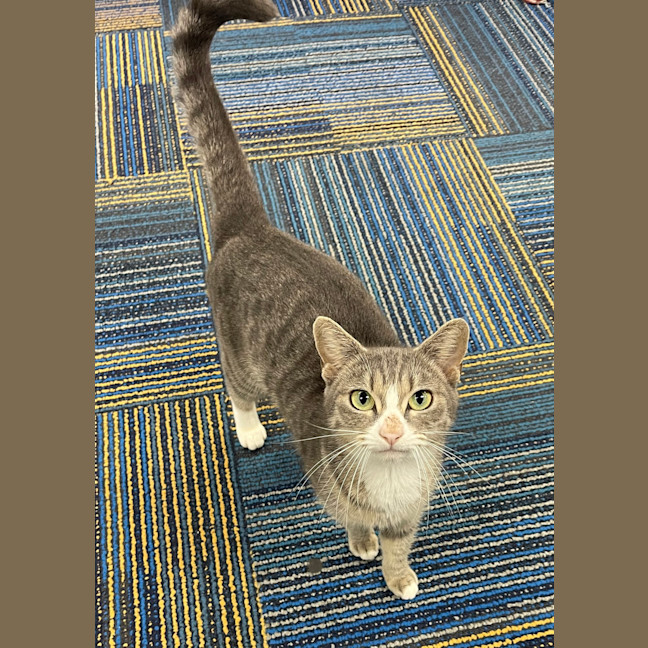 Photo of Bonnie