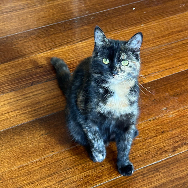 Photo of Heidi