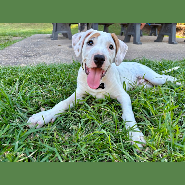 Photo of Yoshi 