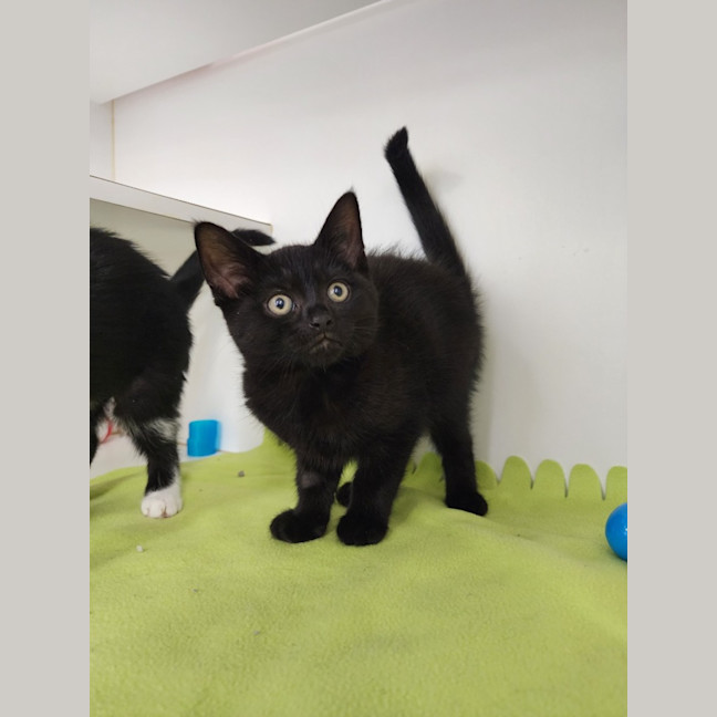 Photo of Disney  Crew