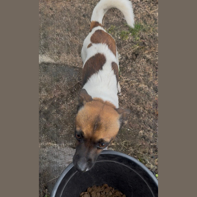 Photo of Bodie