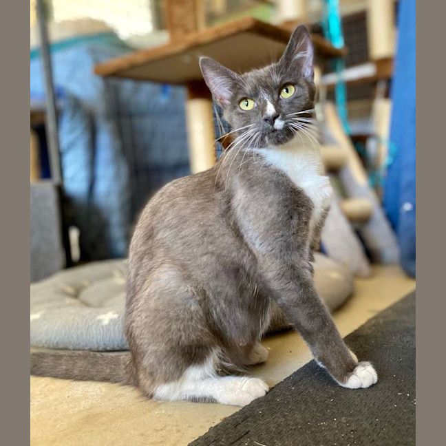 Photo of Edwina & Trixie