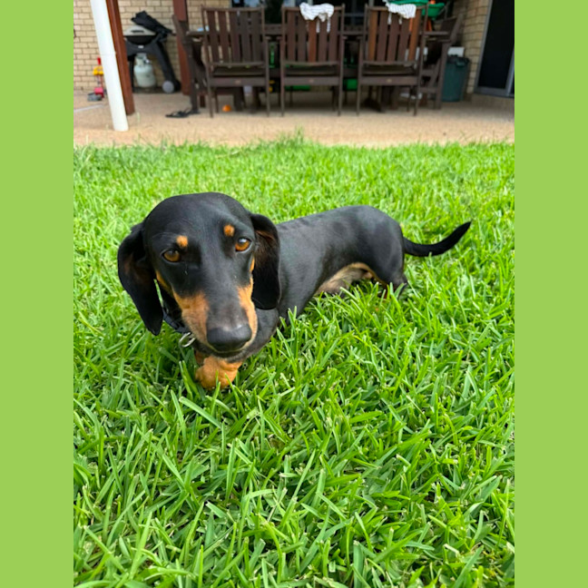 Photo of Ruby And Oreo