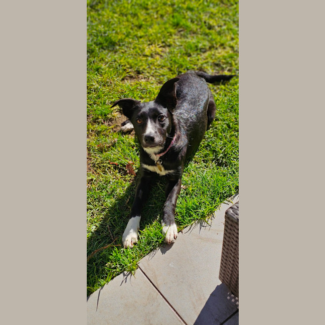 Photo of Xanthippe