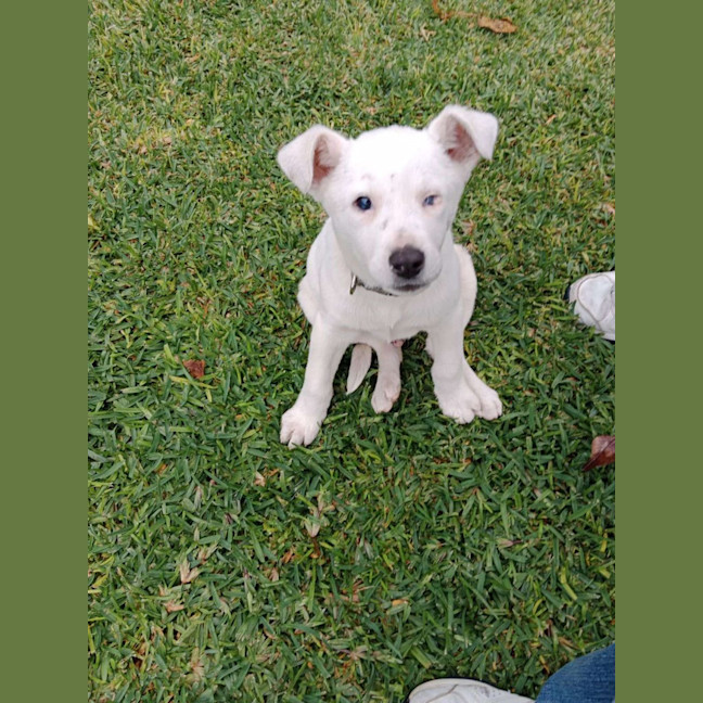 Photo of Polar