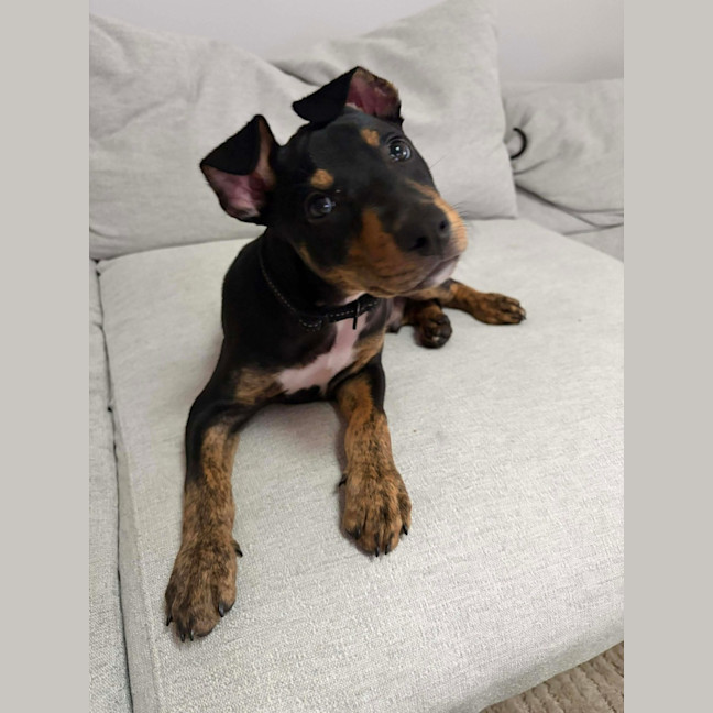 Photo of Cooper 🫶🏻