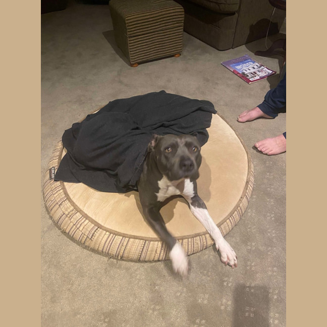 Photo of Estée Lauder