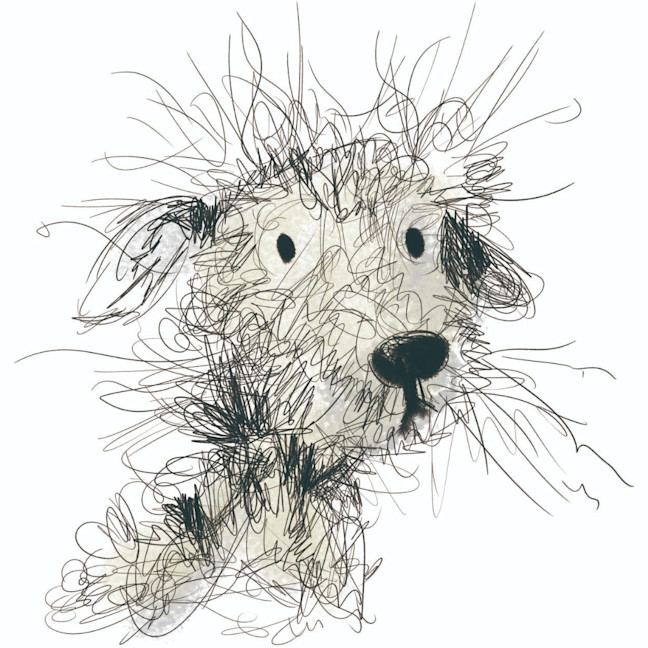 Photo of Test Doggo