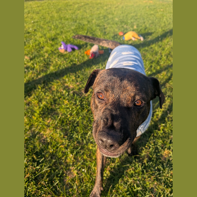 Photo of Tank