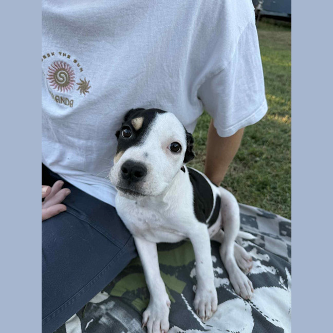 Photo of Novalie (P12)