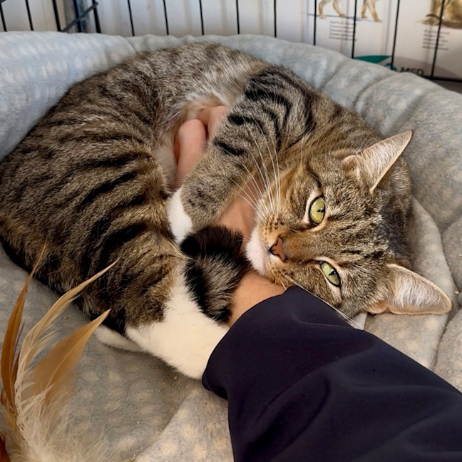 Photo of Maggie