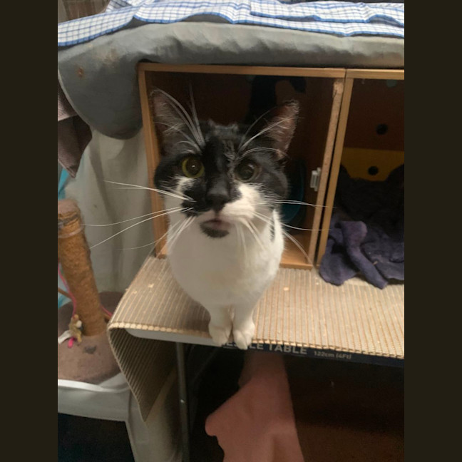 Photo of Kevin   Best Buds With Sutton   Check His Profile