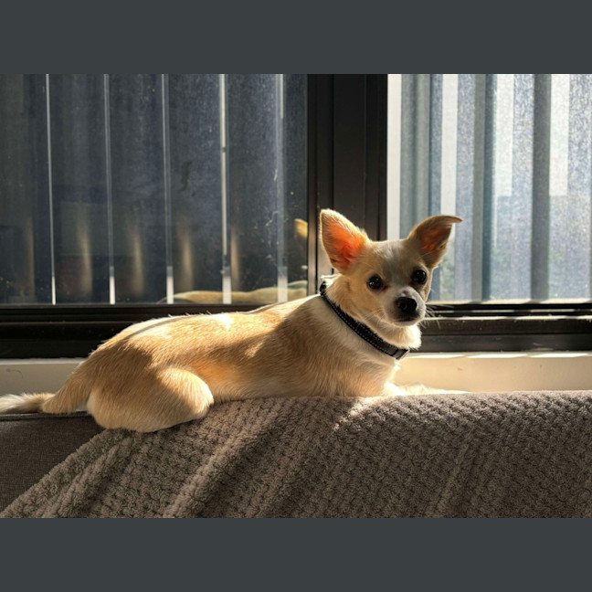 Photo of Jax